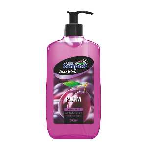 PLUM HAND WASH