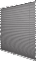 Pleated Blinds