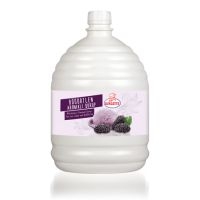 Katsan Ovalette Syrups for Ice Cream (Blackberry)