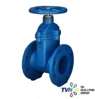 V151 Resilient Seated Gate Valve NRS F4
