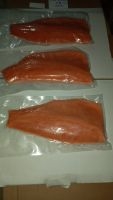 Turkish Salmon Trout (Oncorhynchus mykiss)
