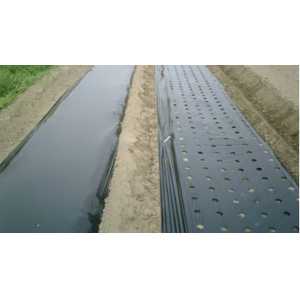 Mulch Films