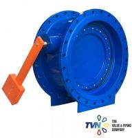 V202 Tilting Check Valve