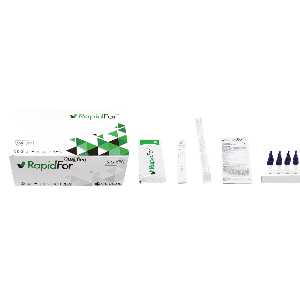 COVID-19 SARS-CoV-2 Rapid Antigen Test Kit