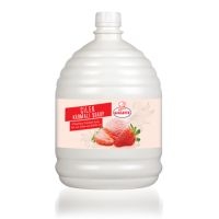 Katsan Ovalette Syrups for Ice Cream (Strawberry)