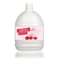 Katsan Ovalette Syrups for Ice Cream (Raspberry)