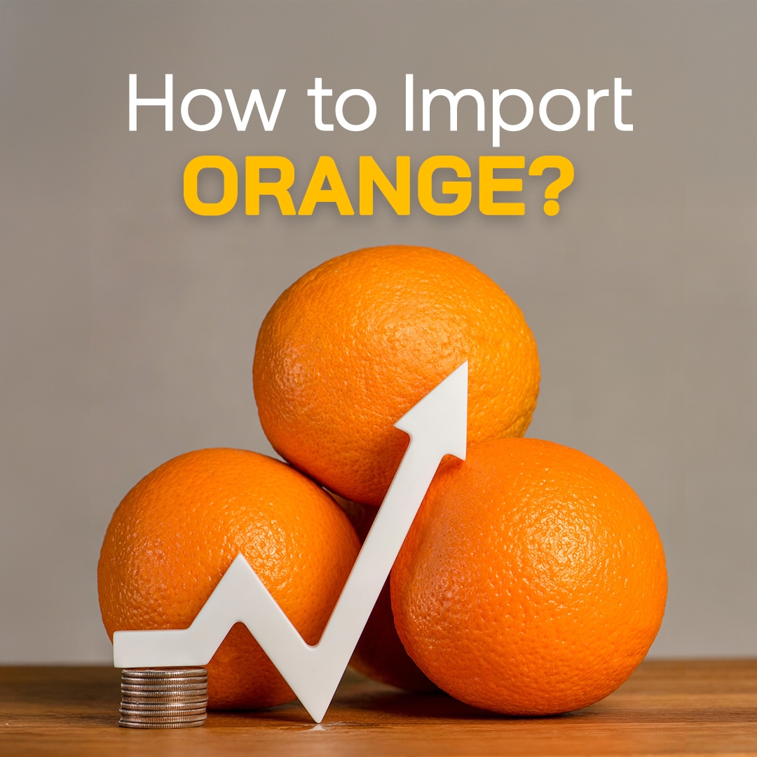 How to Import Orange?
