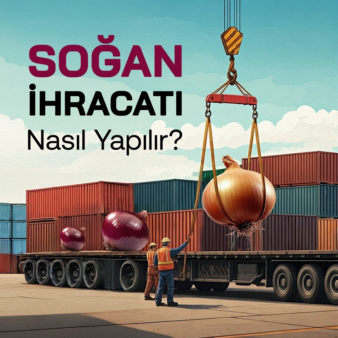 Soğan İhracatı Nasıl Yapılır