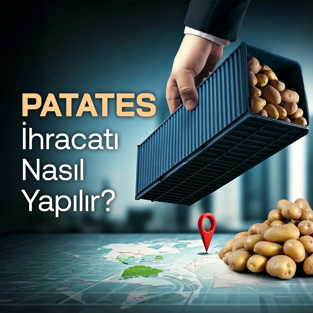 Patates İhracatı Nasıl Yapılır