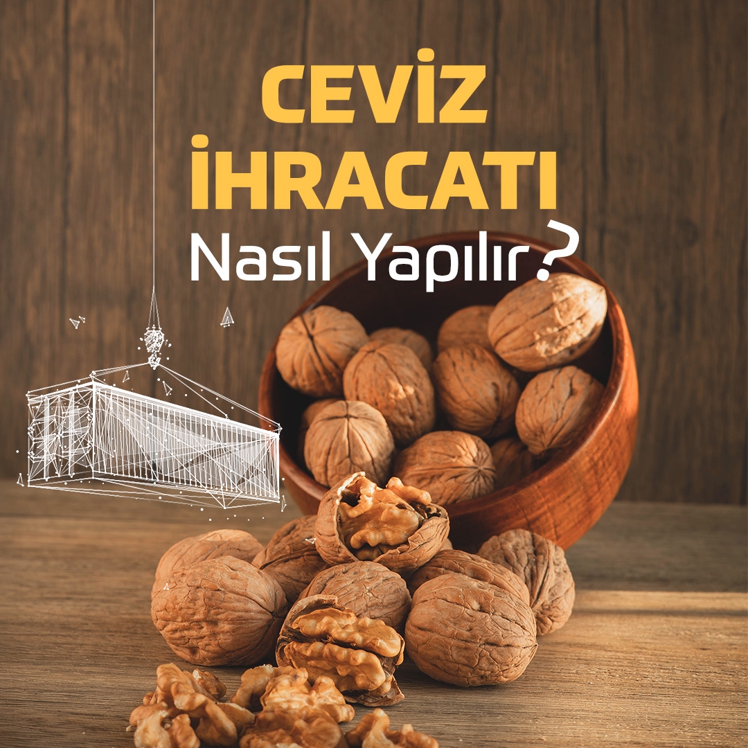Ceviz İhracatı Nasıl Yapılır