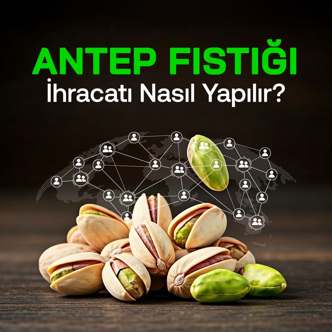 Antep Fıstığı İhracatı Nasıl Yapılır