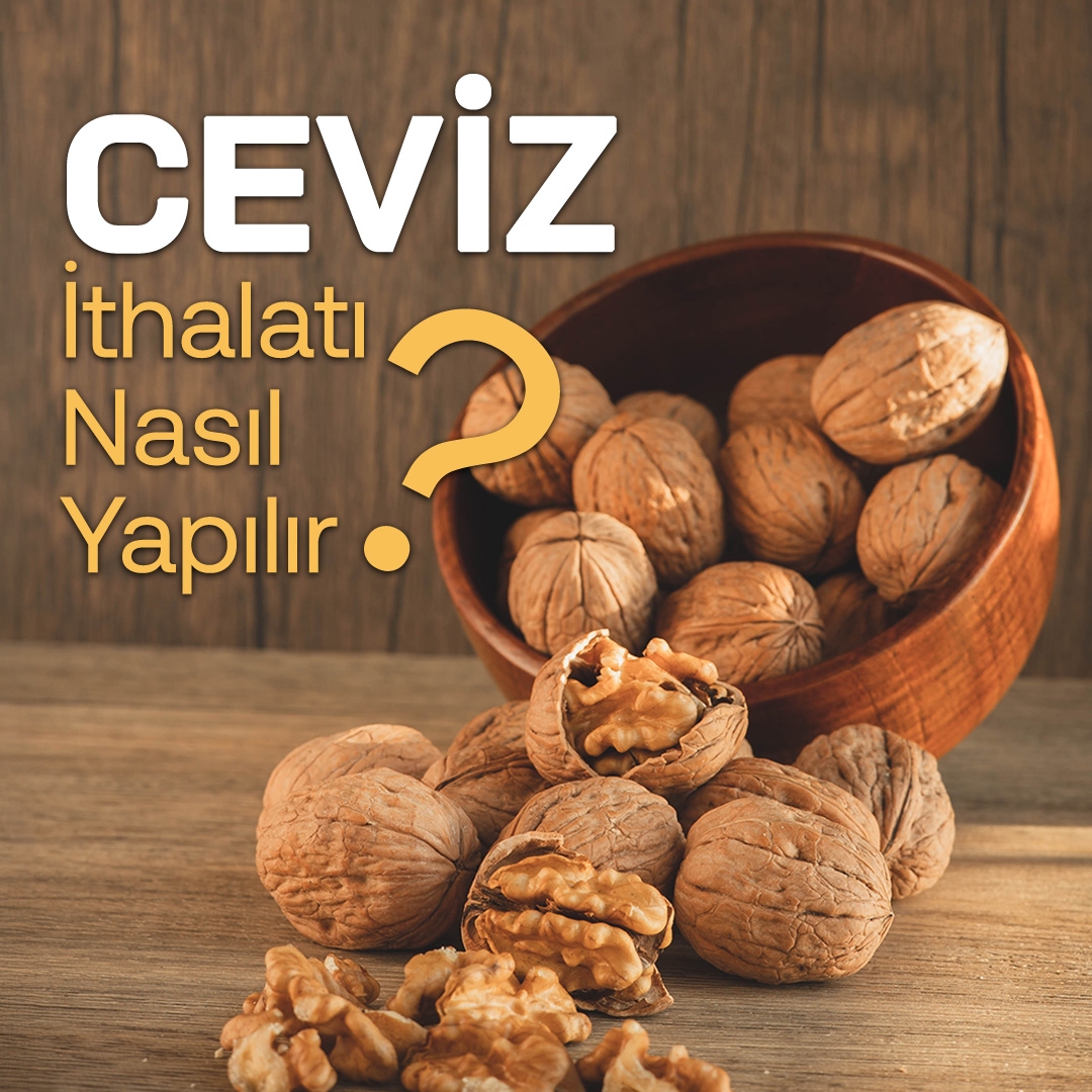 Ceviz İthalatı Nasıl Yapılır