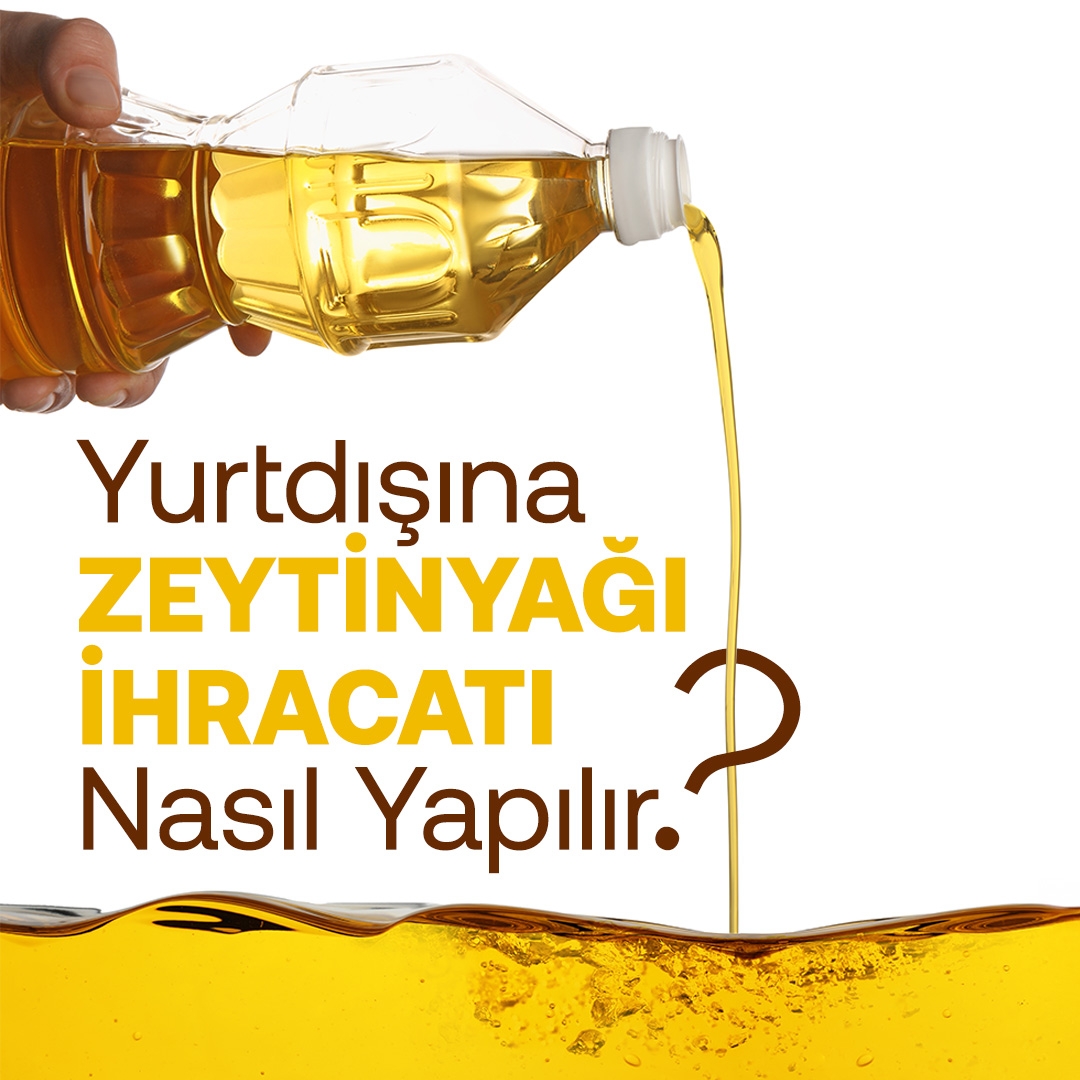 Yurtdışına Zeytinyağı İhracatı Nasıl Yapılır