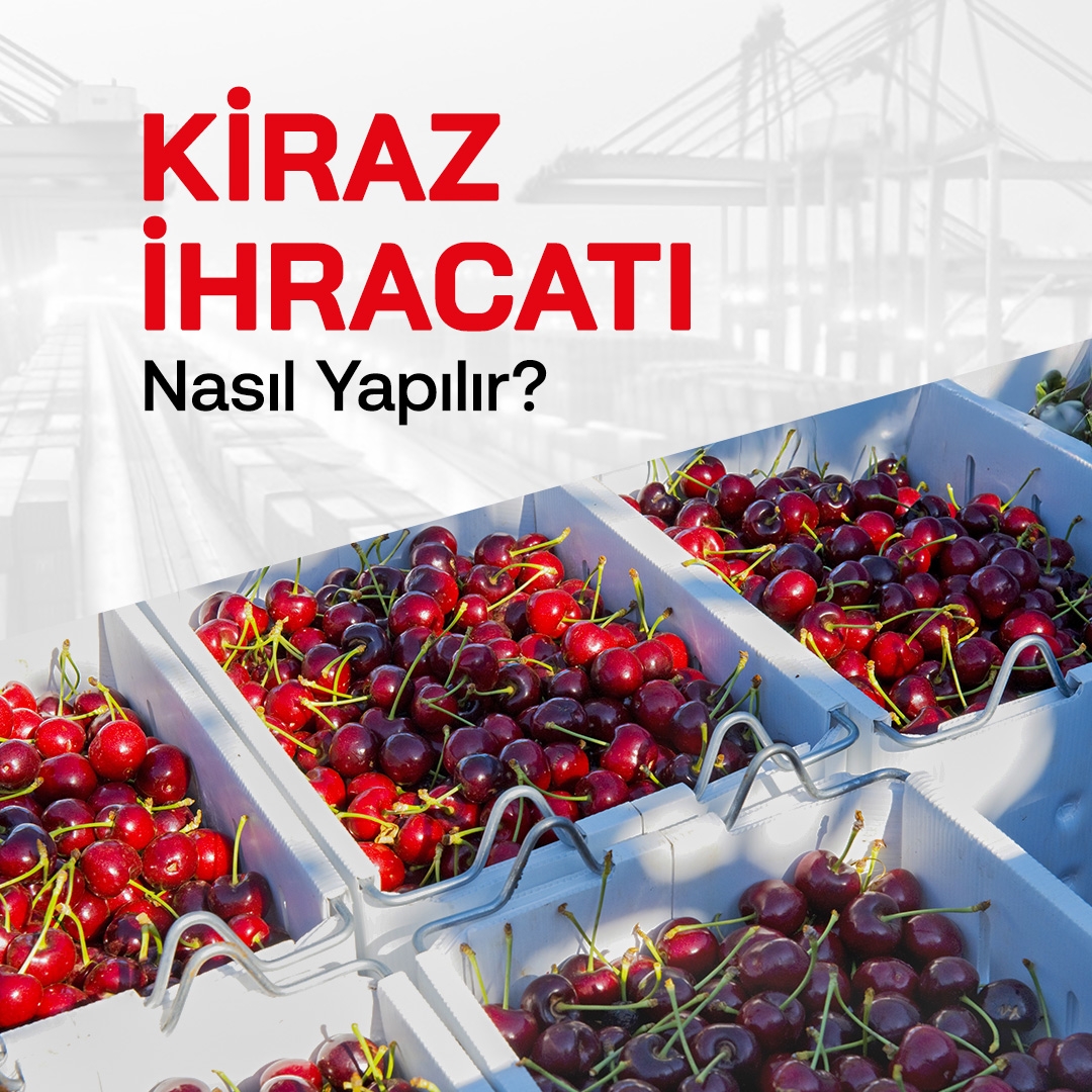 Kiraz İhracatı Nasıl Yapılır