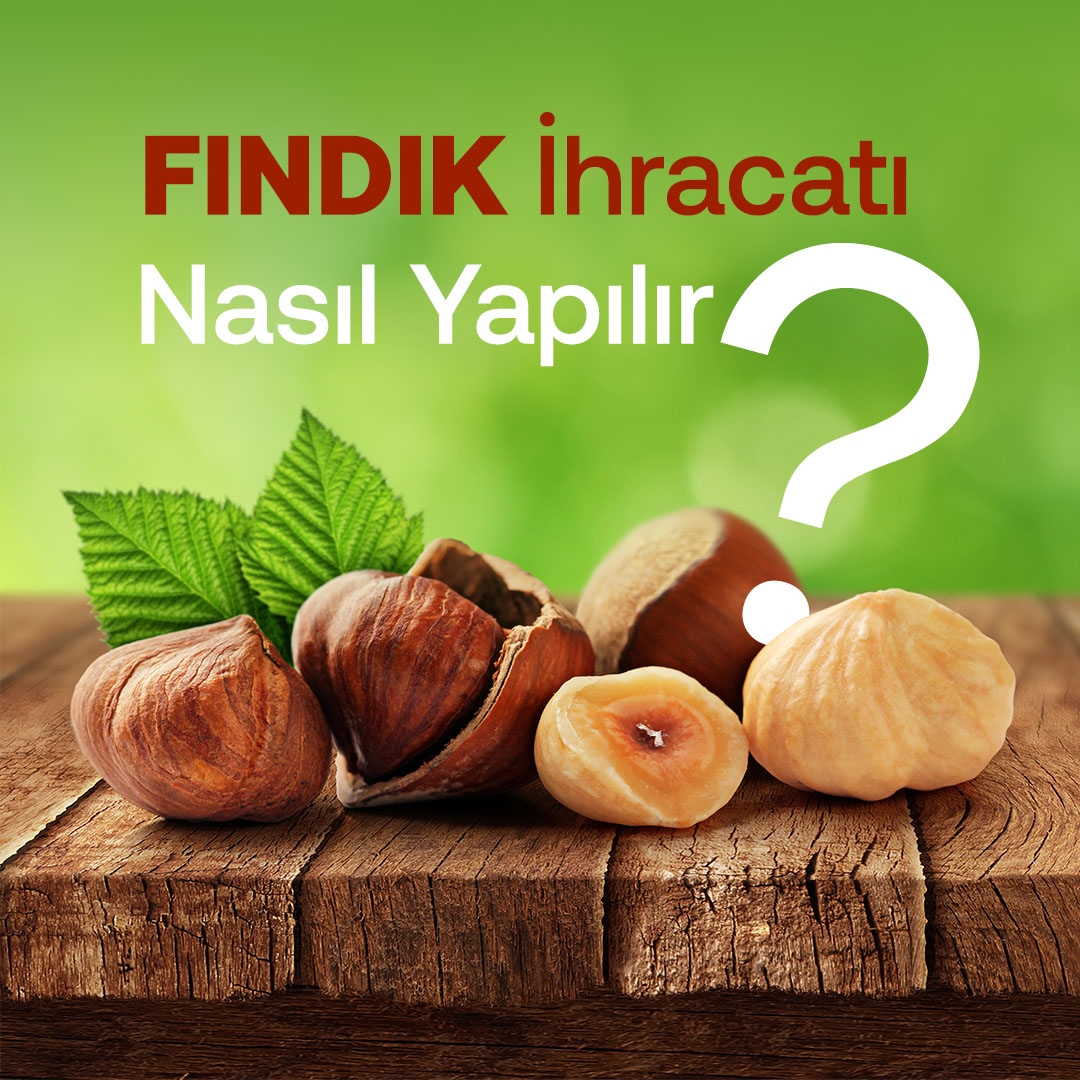 Fındık İhracatı Nasıl Yapılır