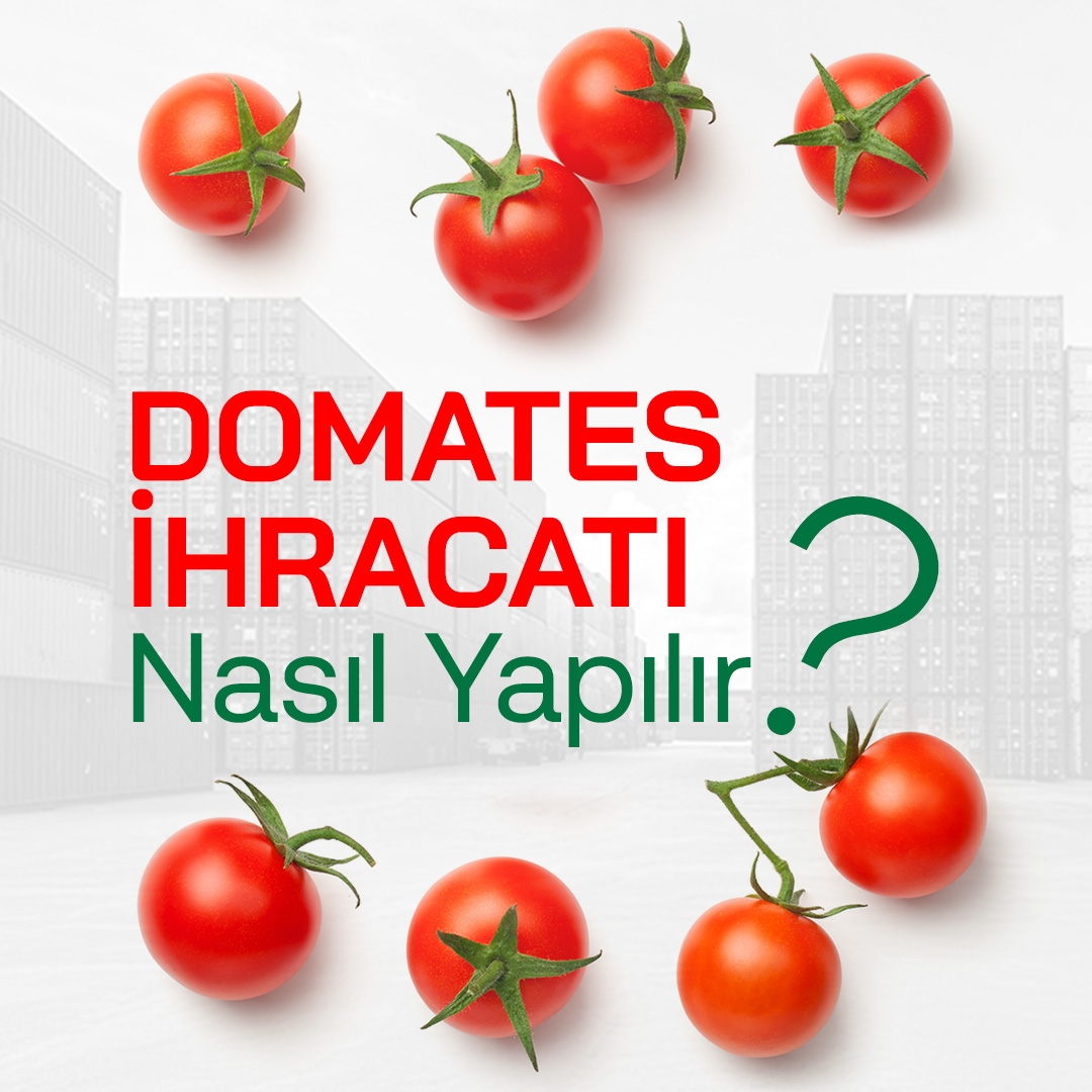 domates-ihracatı-nasıl-yapılır
