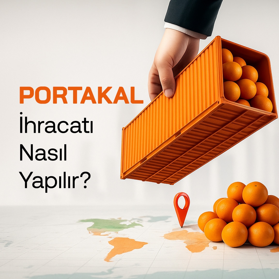 Portakal İhracatı Nasıl Yapılır?