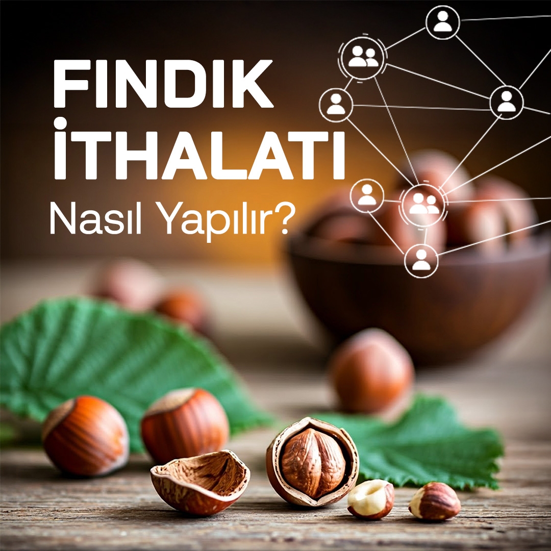 Fındık İthalatı Nasıl Yapılır