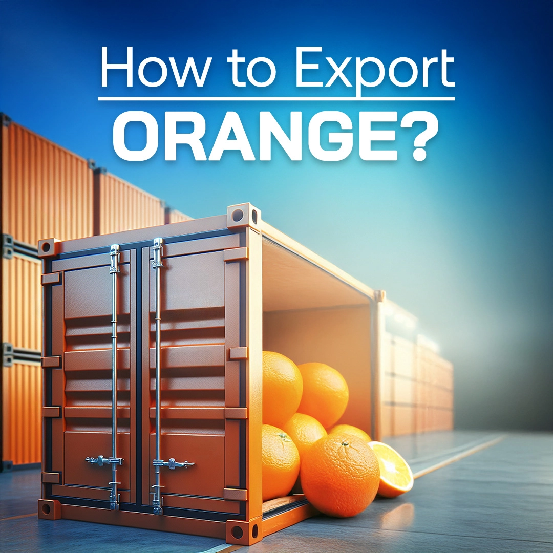 How to Export Orange