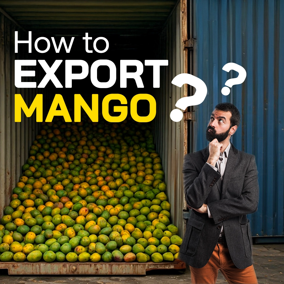 How to Export Mango