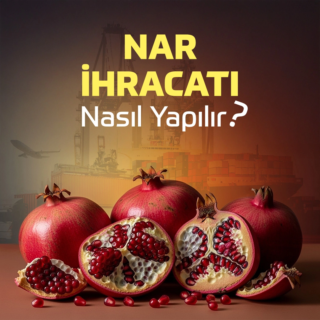 Nar İhracatı Nasıl Yapılır