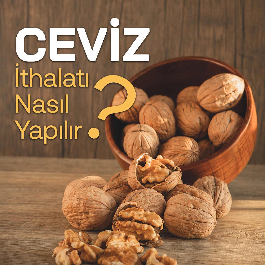 Ceviz İthalatı Nasıl Yapılır