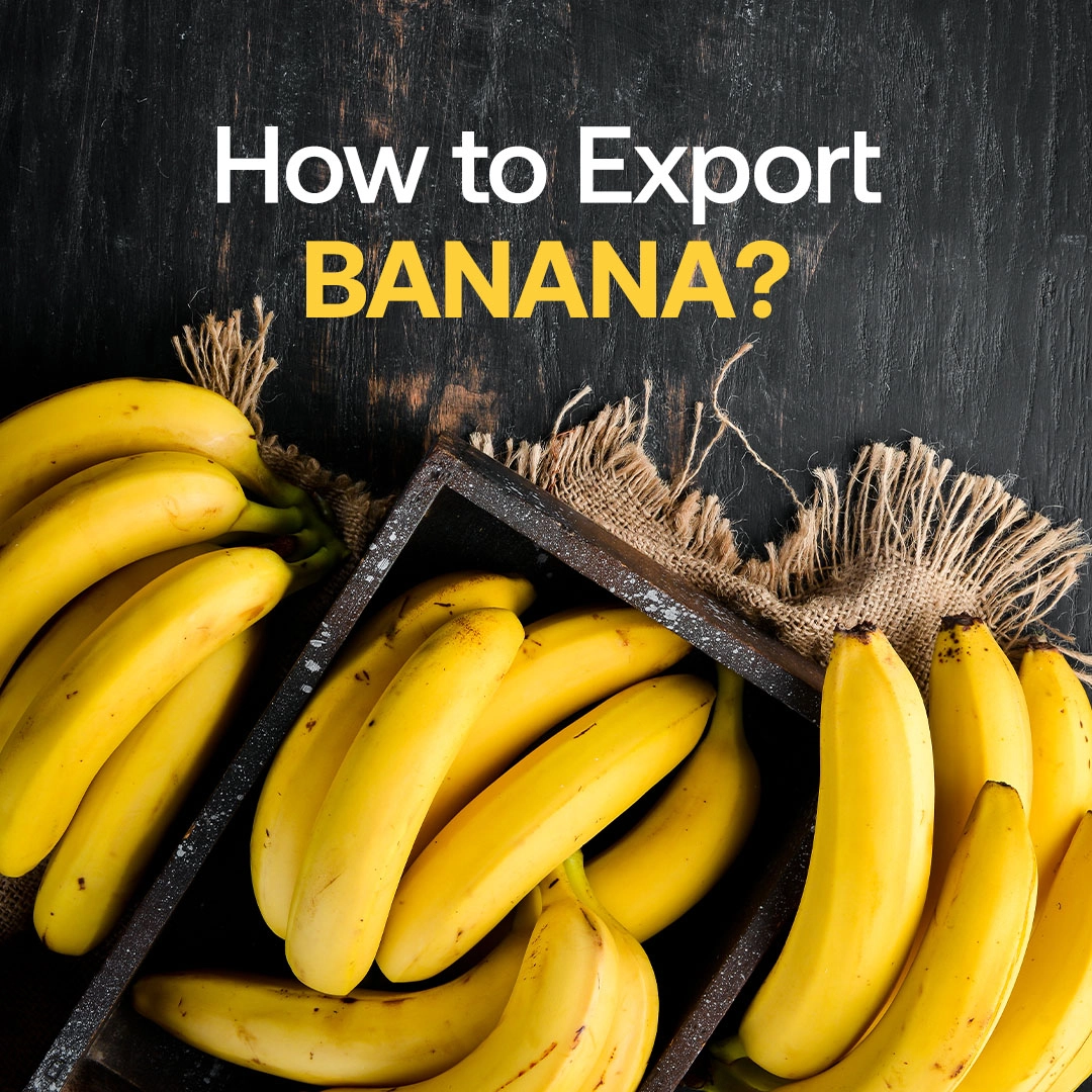 How to Export Banana