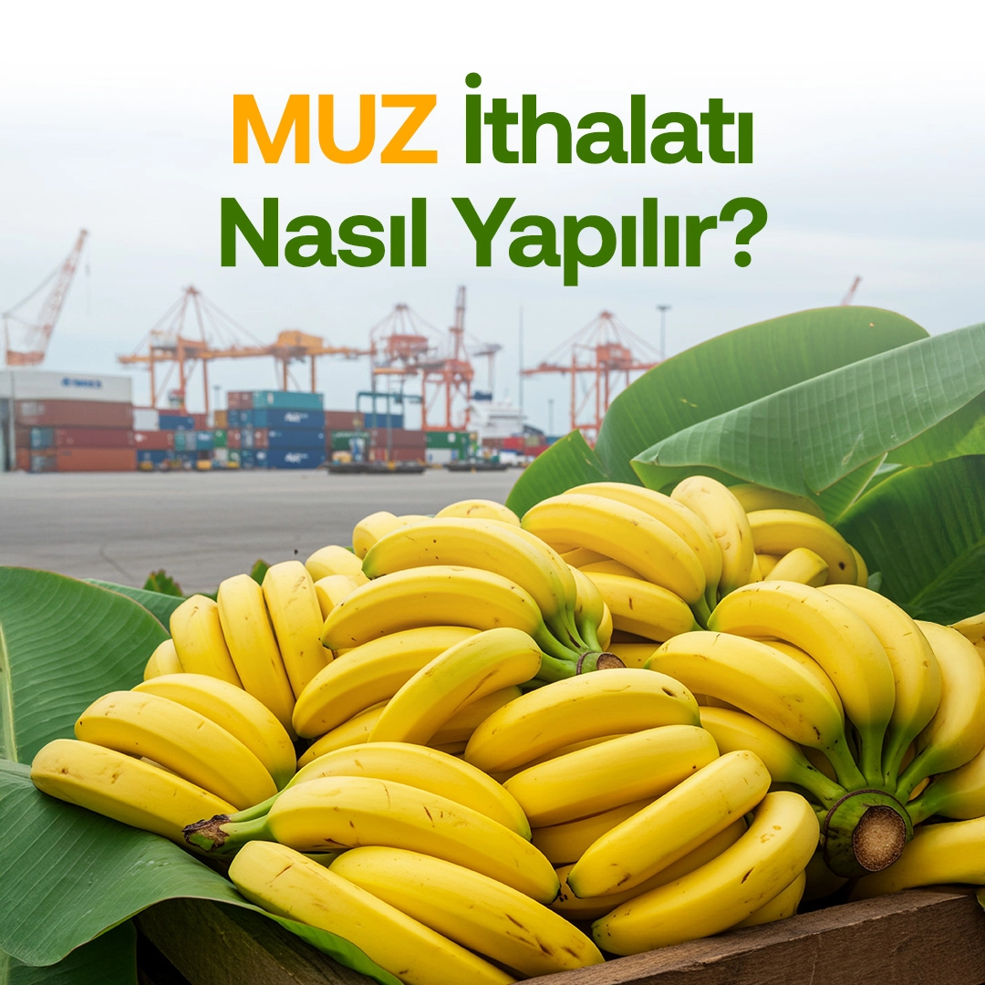 Muz İthalatı Nasıl Yapılır
