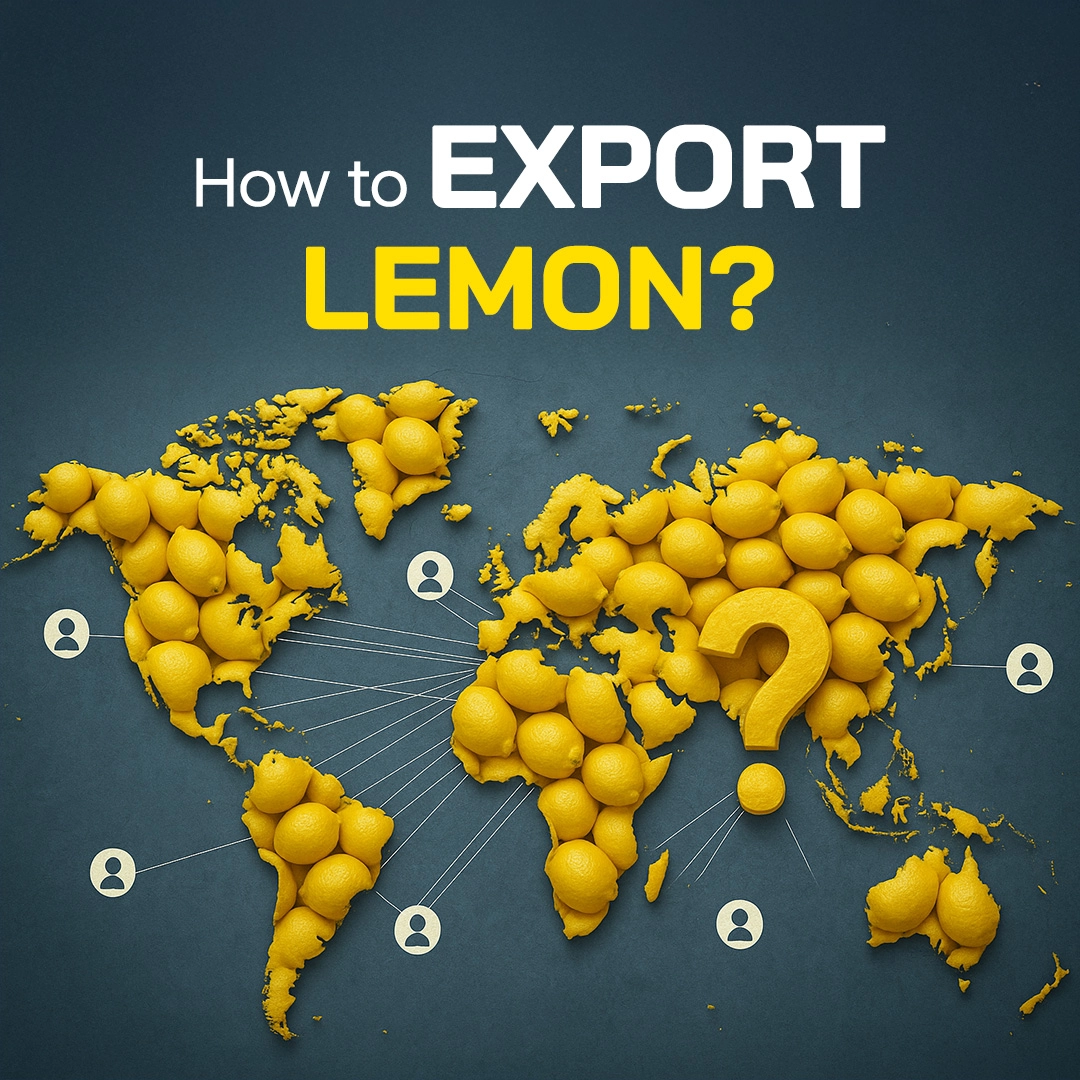 How to Export Lemon