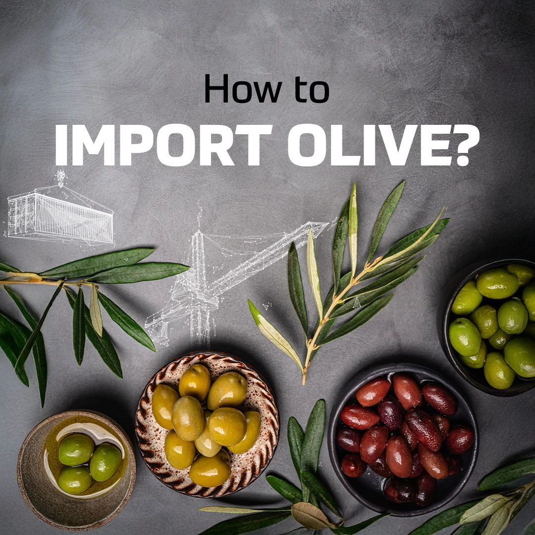 How to Import Olive