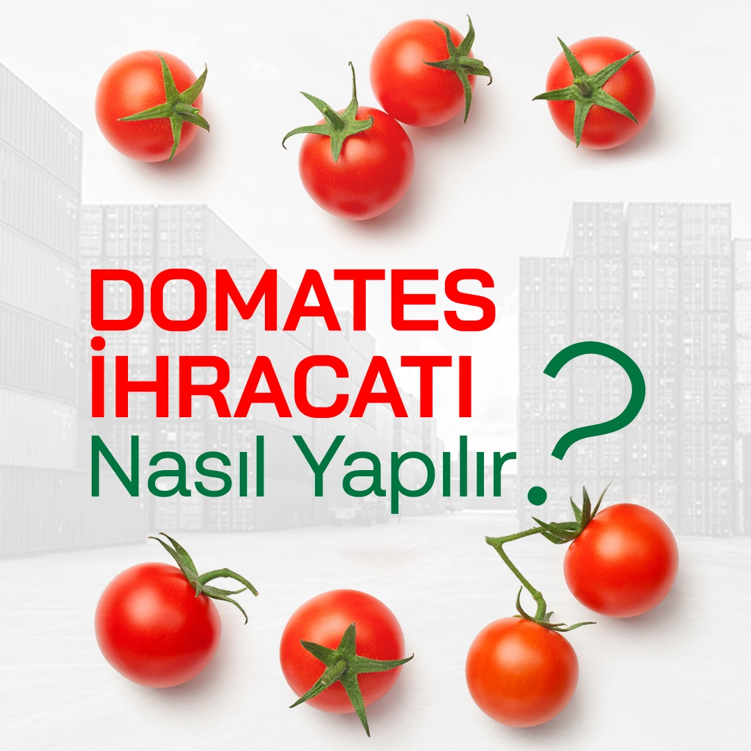 domates-ihracatı-nasıl-yapılır