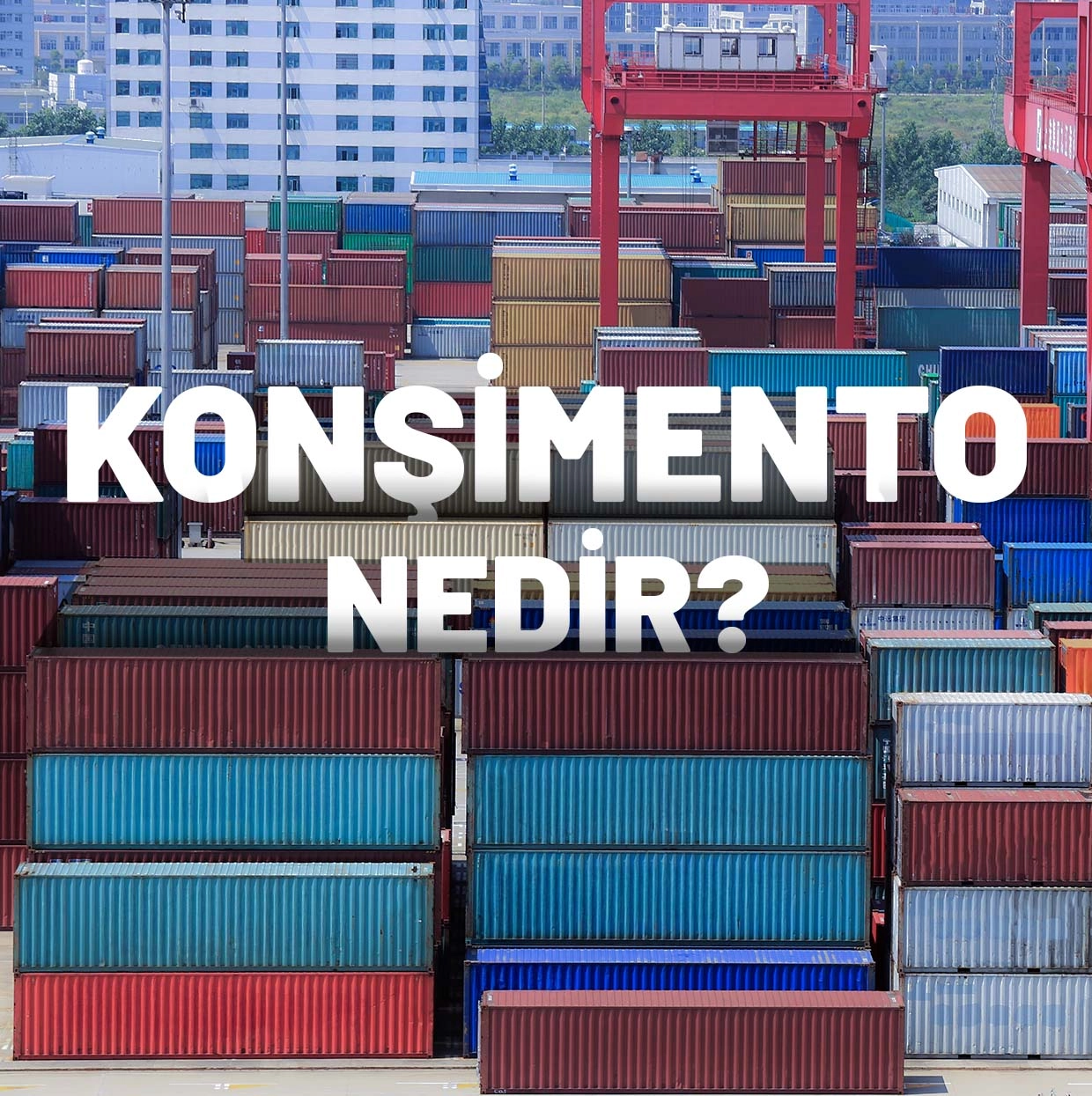 Konşimento Nedir & Nasıl Düzenlenir