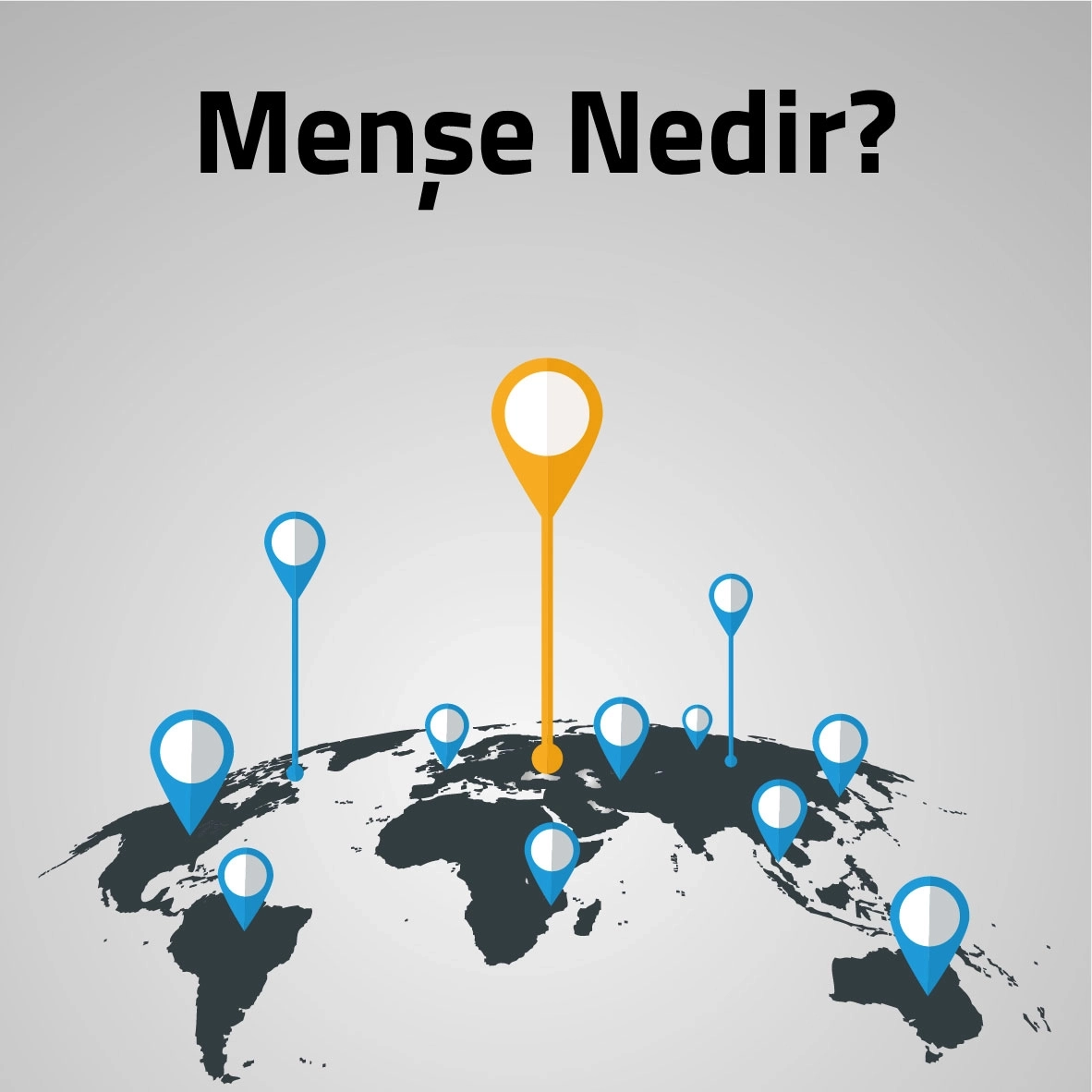 Menşe Nedir?