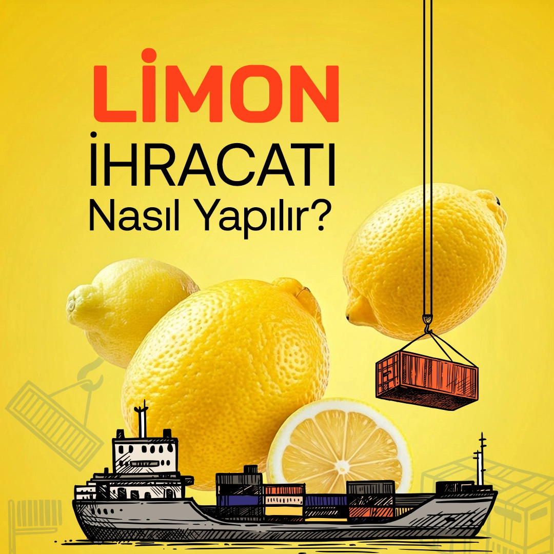 Limon İhracatı Nasıl Yapılır