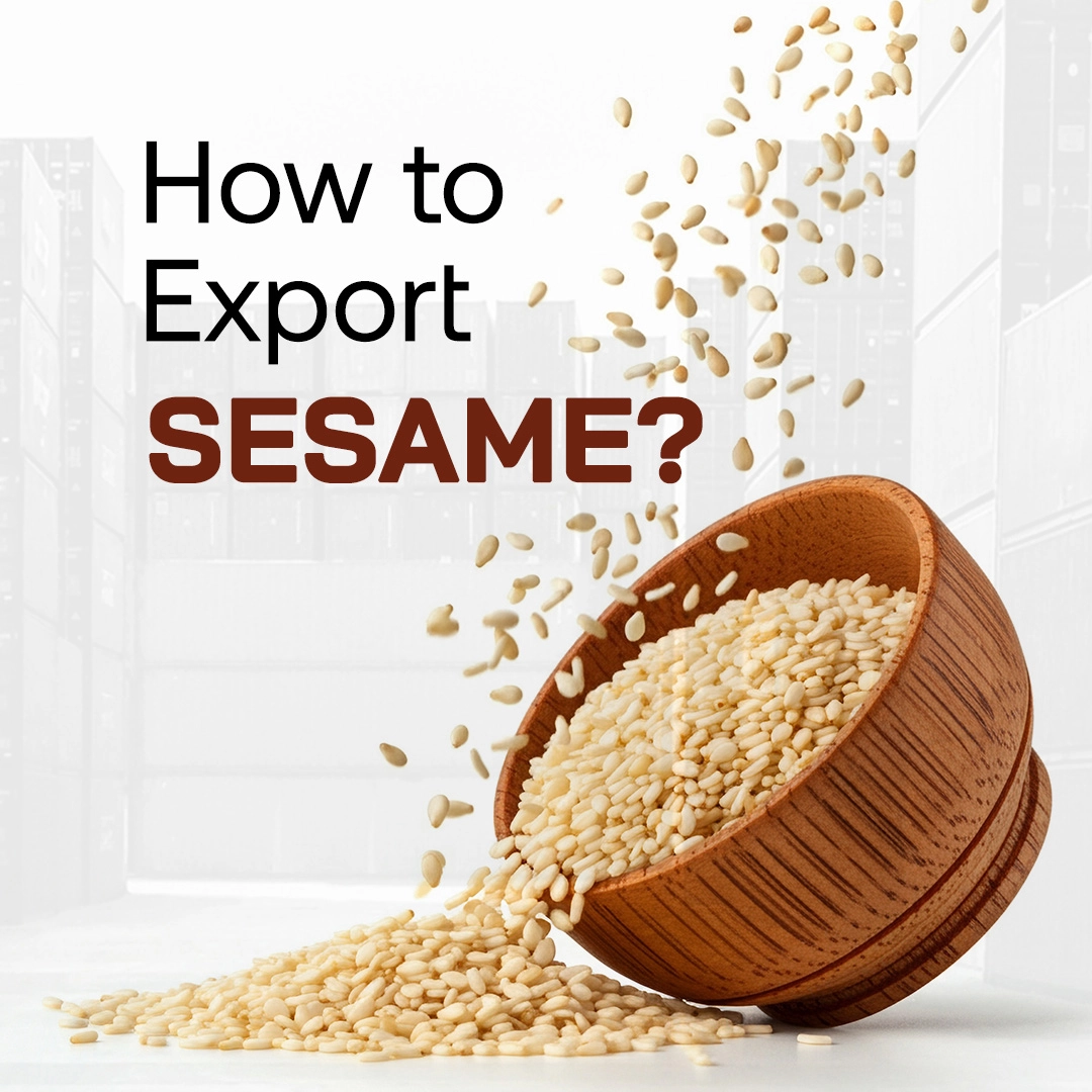 How to Export Sesame
