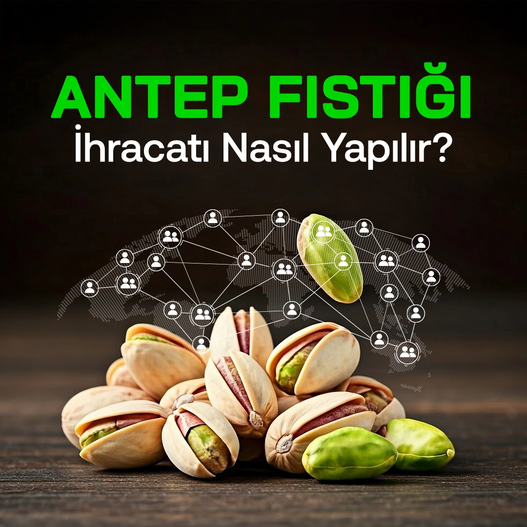 Antep Fıstığı İhracatı Nasıl Yapılır