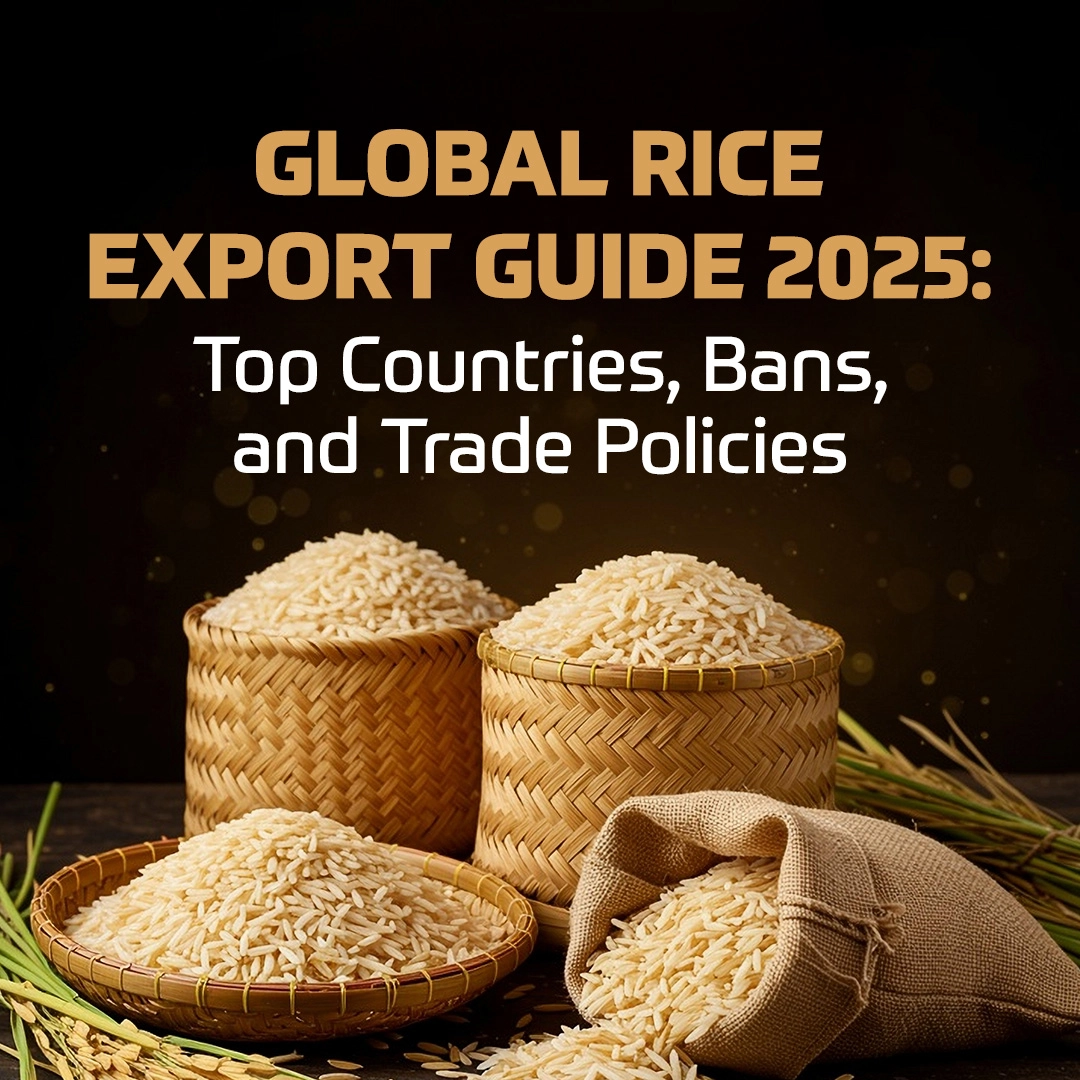 Global Rice Export Guide 2025: Top Countries, Bans, and Trade Policies